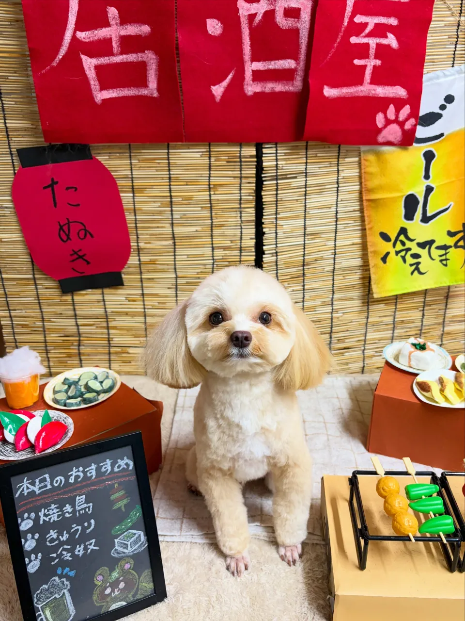 🍃9/16のトリミング🍃ミックス犬🐶｜名東区・千種区・守山区...