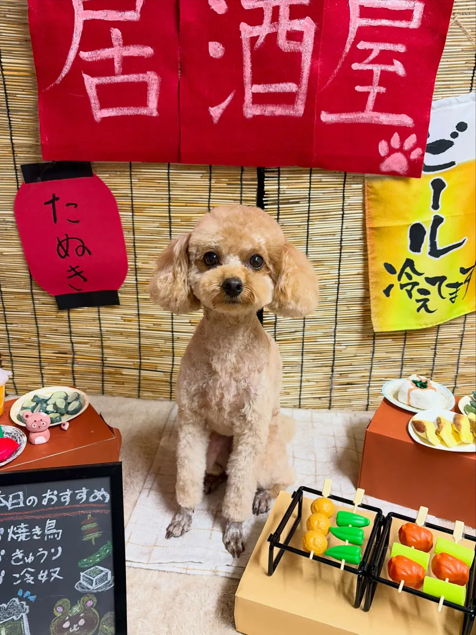 🍃9/16のトリミング🍃プードル🐶｜名東区・千種区・守山区の...