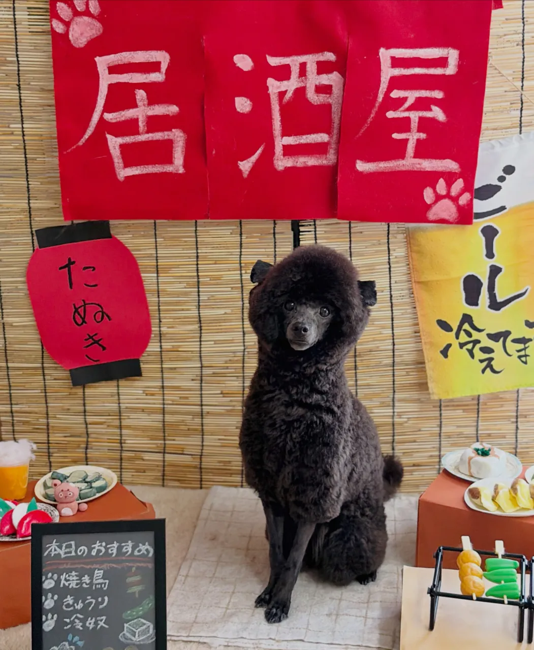 🍃9/18のトリミング🍃プードル 🐶｜名東区・千種区・守山区...