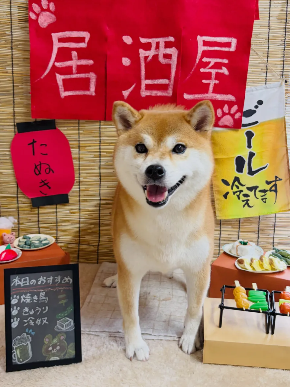🍃9/18のトリミング🍃柴犬🐶｜名東区・千種区・守山区の動物...