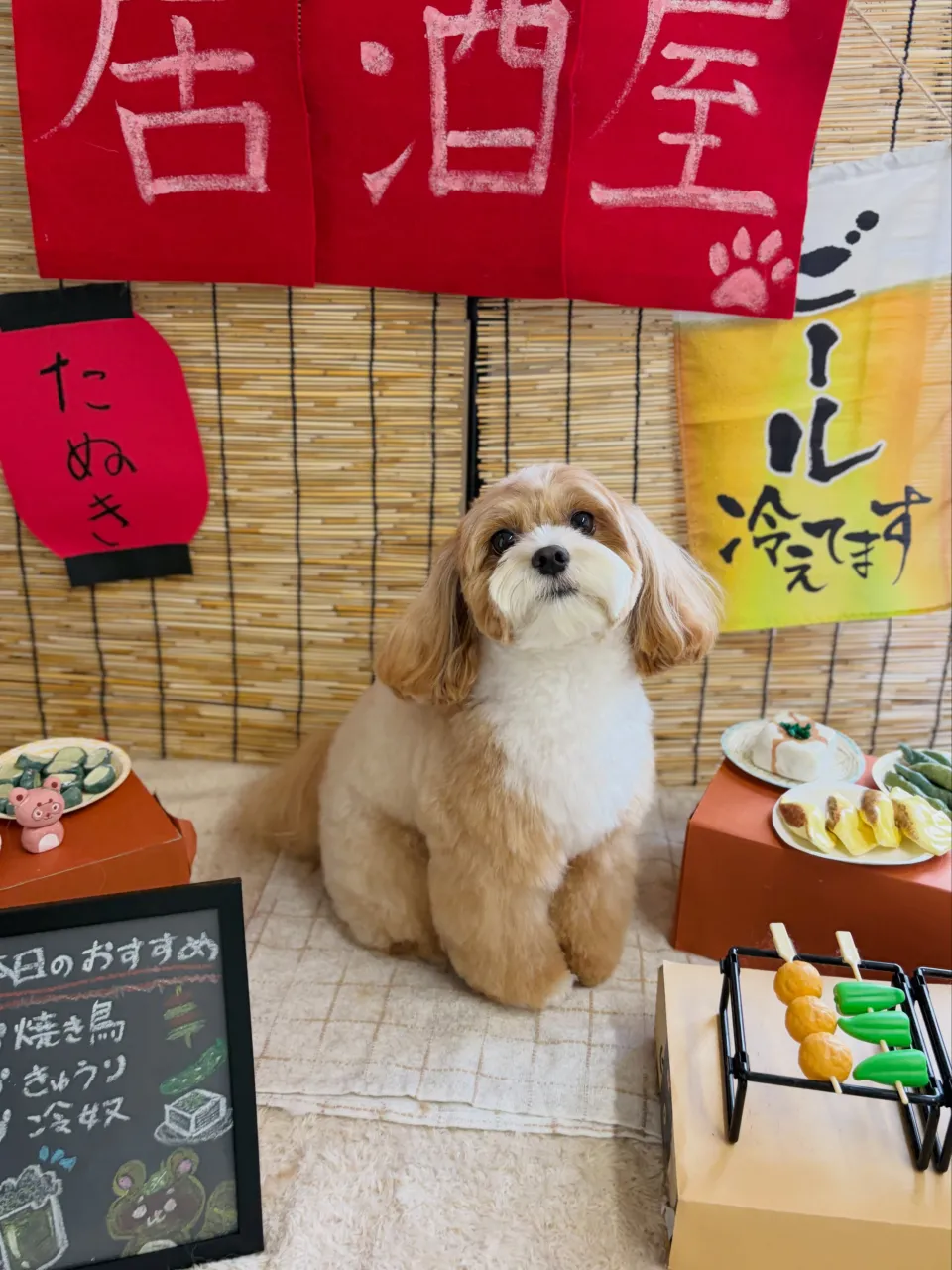 🍃9/18のトリミング🍃プードル🐶ミックス犬🐶チワワ🐶|名東...
