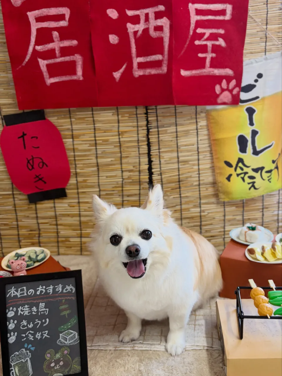 🍃9/18のトリミング🍃プードル🐶ミックス犬🐶チワワ🐶|名東...