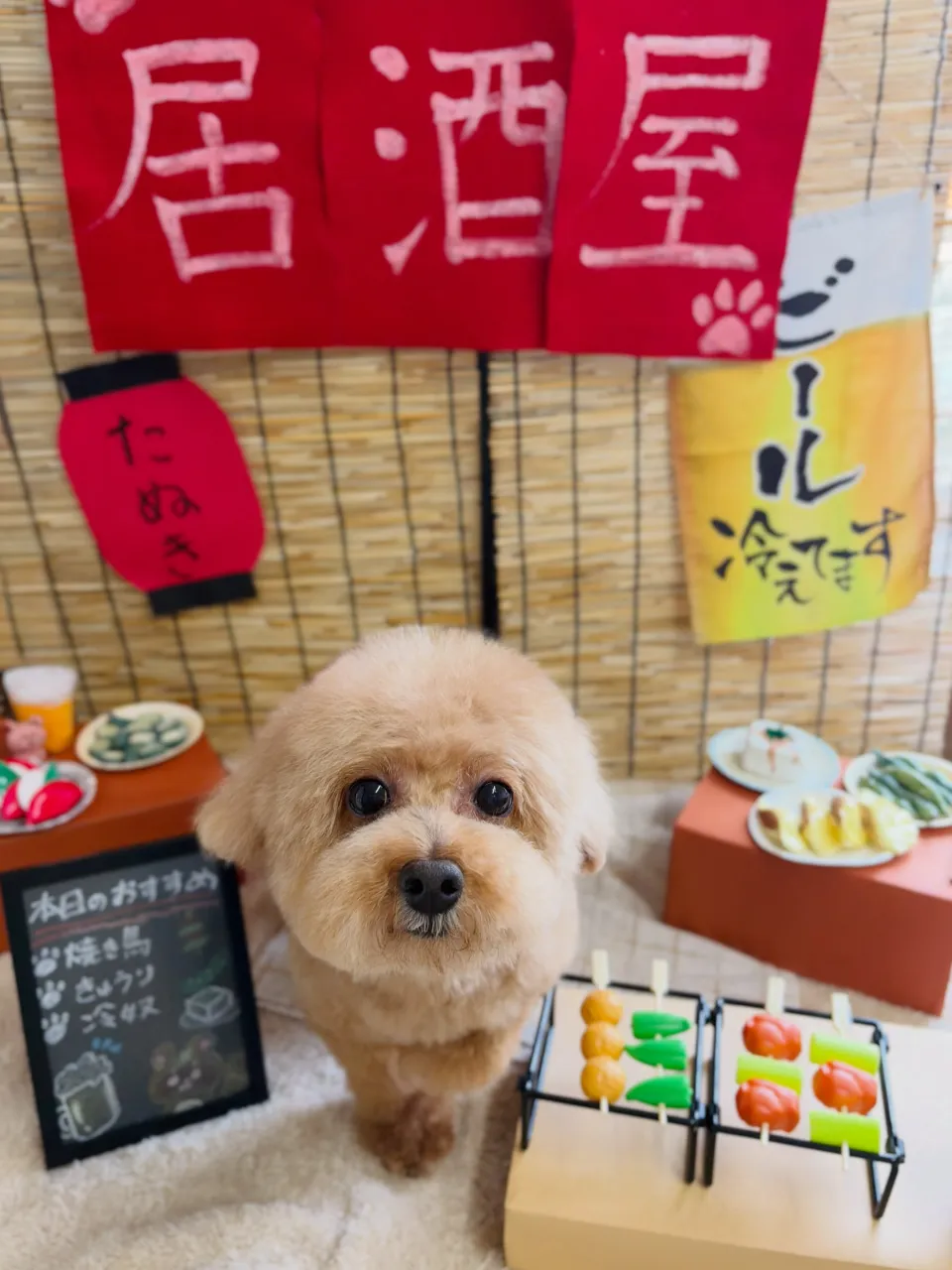 🍃9/19のトリミング🍃プードル🐶｜名東区・千種区・守山区の...