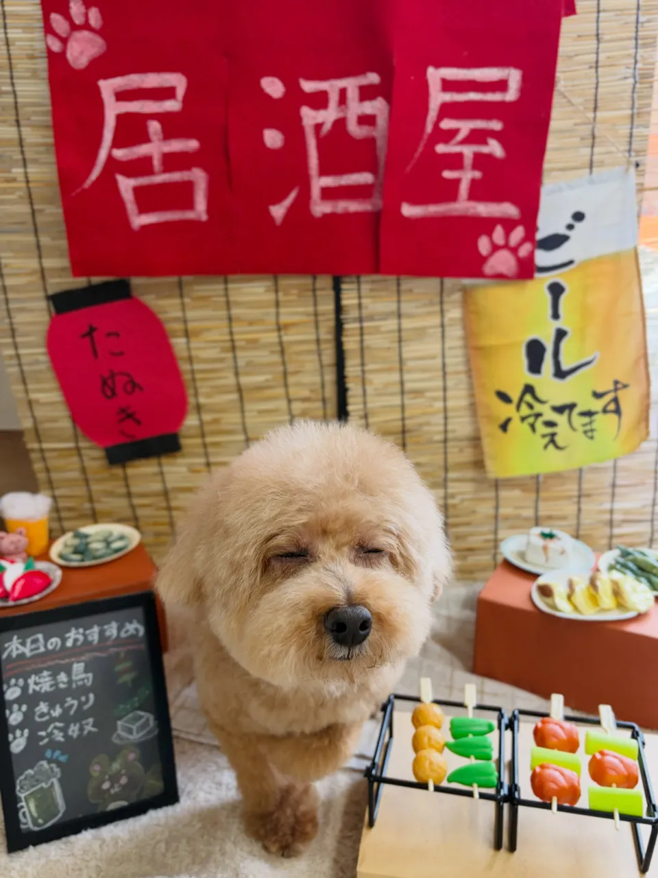🍃9/19のトリミング🍃プードル🐶｜名東区・千種区・守山区の...