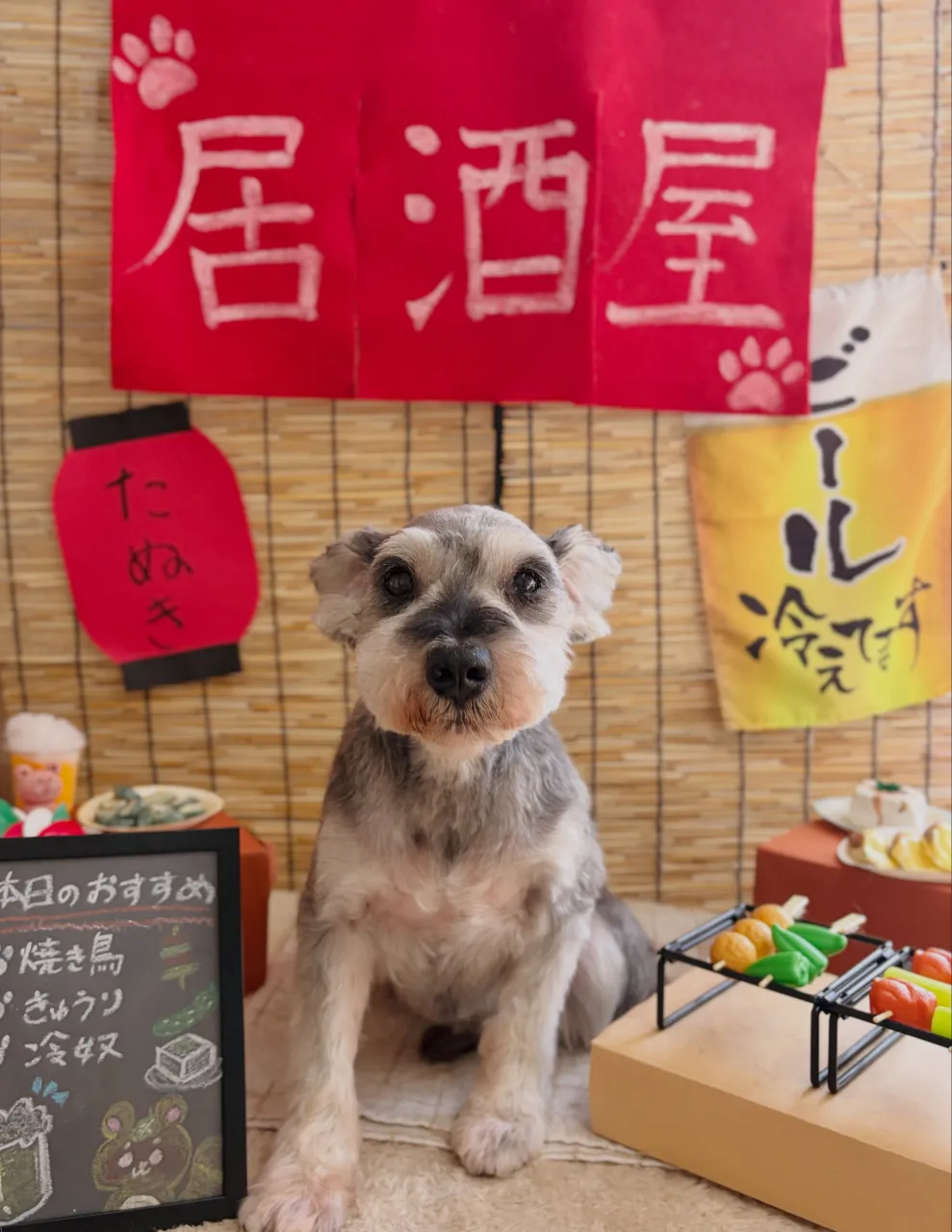 🍃9/19のトリミング🍃シュナウザー🐶|名東区・千種区・守山...