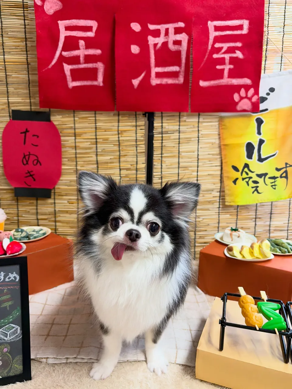 🍃9/20のトリミング🍃チワワ🐶|名東区・千種区・守山区の動...