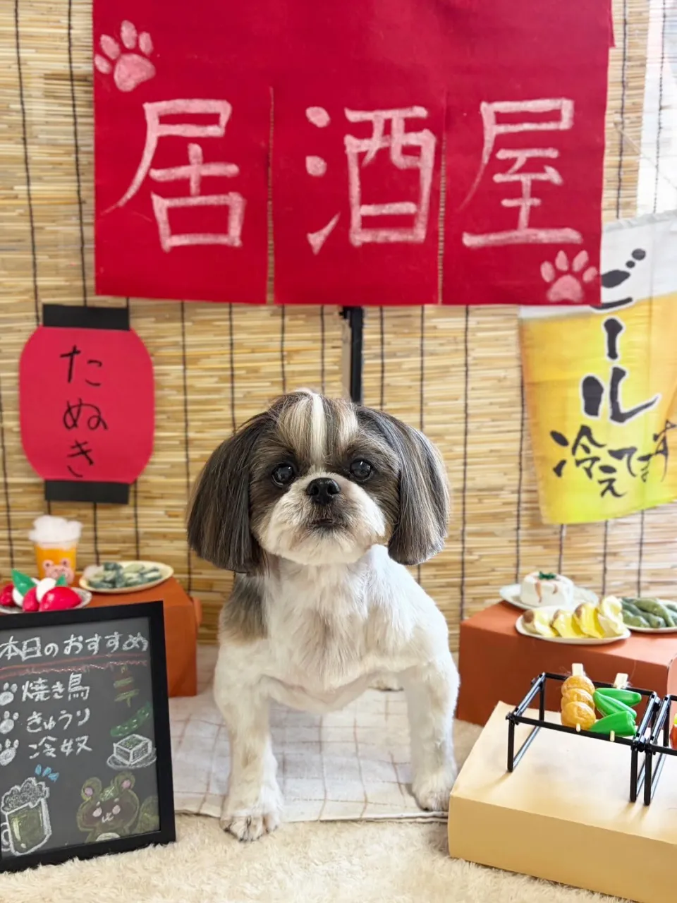 🍃9/20のトリミング🍃シーズー🐶ダックス🐶チワワ🐶｜名東区...