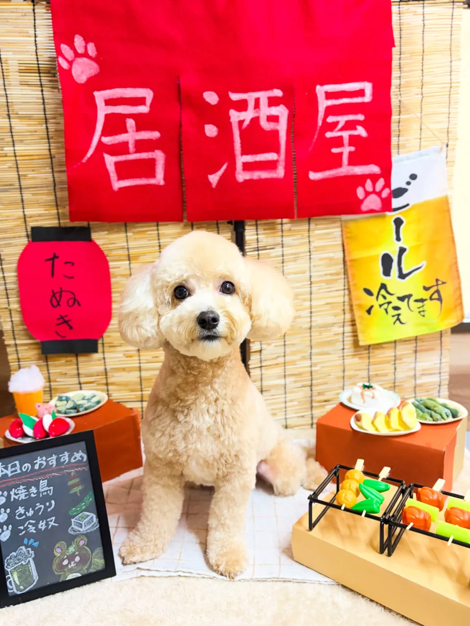 🍃9/20のトリミング🍃ミックス犬🐶｜名東区・千種区・守山区...