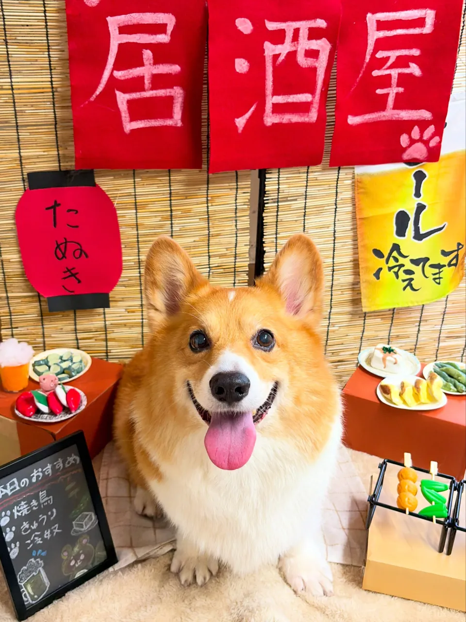 🍃9/20のトリミング🍃コーギー🐶｜名東区・千種区・守山区の...