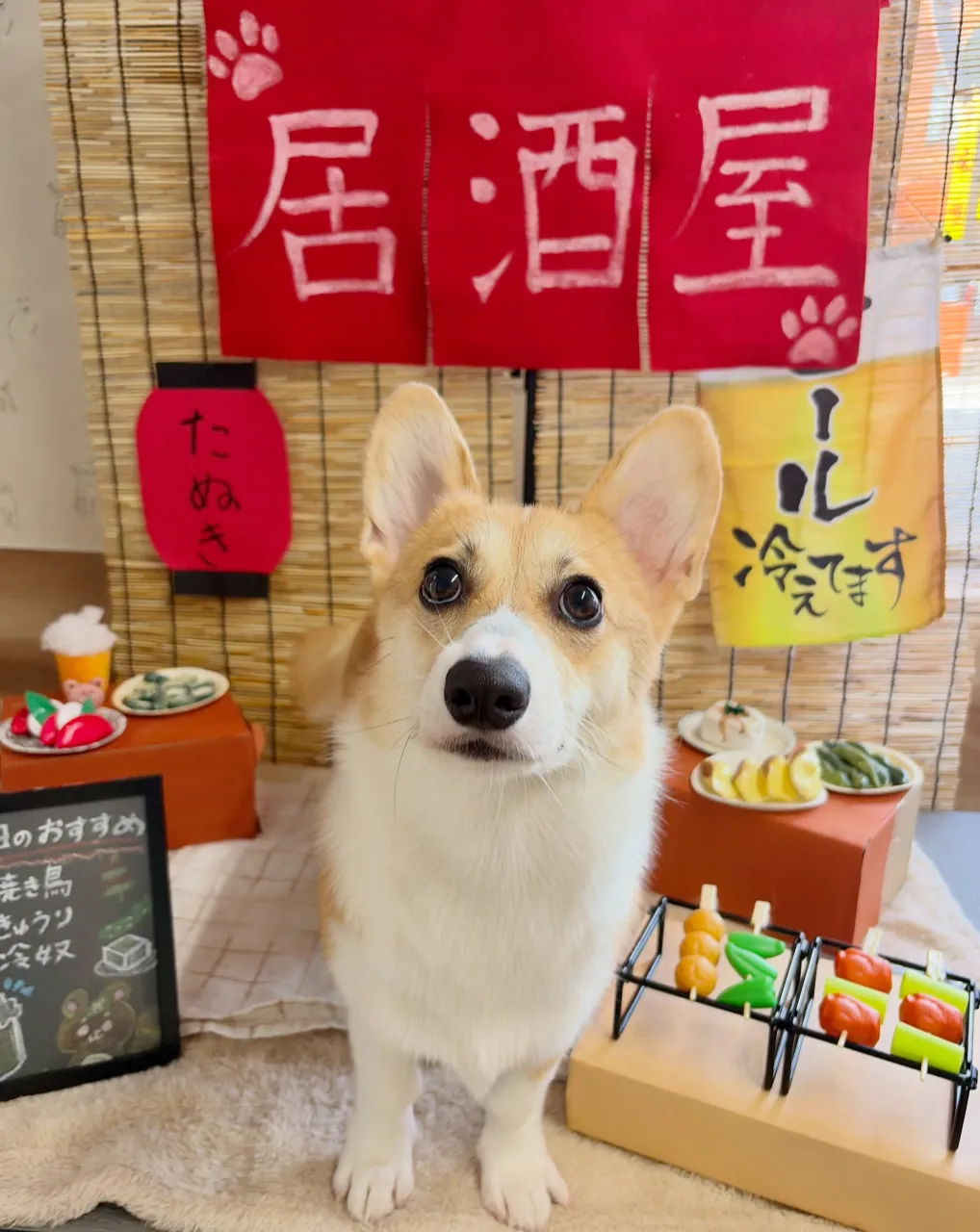 🍃9/21のトリミング🍃コーギー🐶｜名東区・千種区・守山区の...
