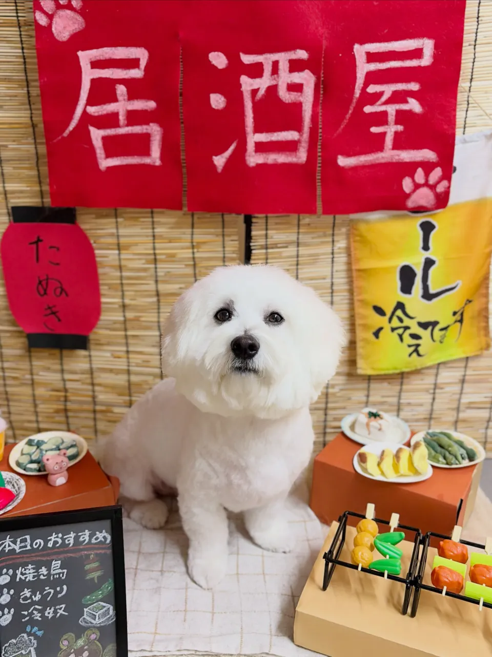 🍃9/21のトリミング🍃ミックス犬🐶｜名東区・千種区・守山区...
