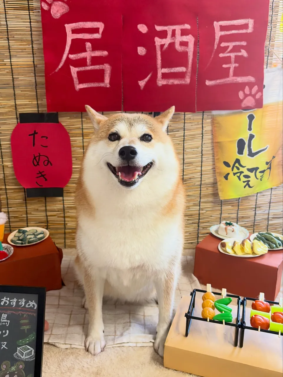 🍃9/22のトリミング🍃柴犬🐶｜名東区・千種区・守山区の動物...