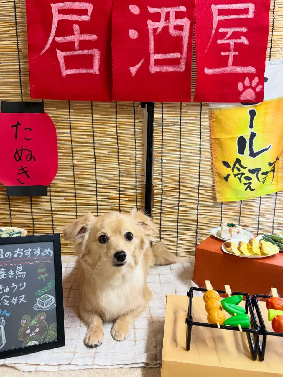 🍃9/22のトリミング🍃ミックス犬🐶｜名東区・千種区・守山区...
