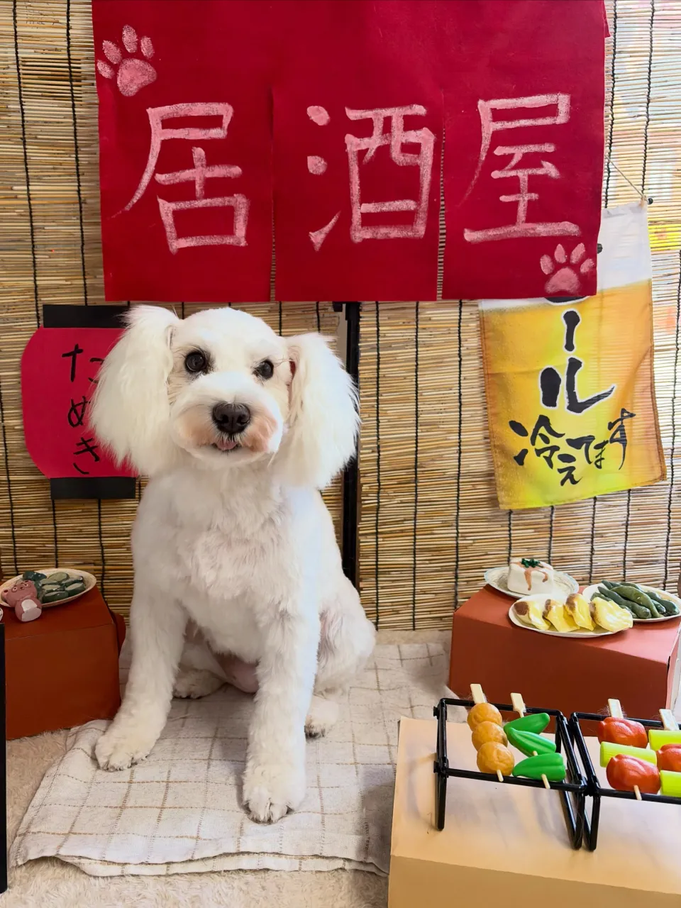 🍃9/23のトリミング🍃ミニチュアシュナウザー🐶｜名東区・千...