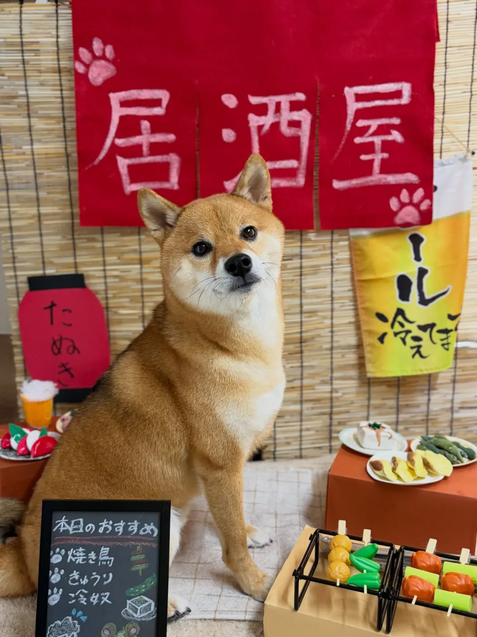 🍃9/25のトリミング🍃柴犬🐶|名東区・千種区・守山区の動物...