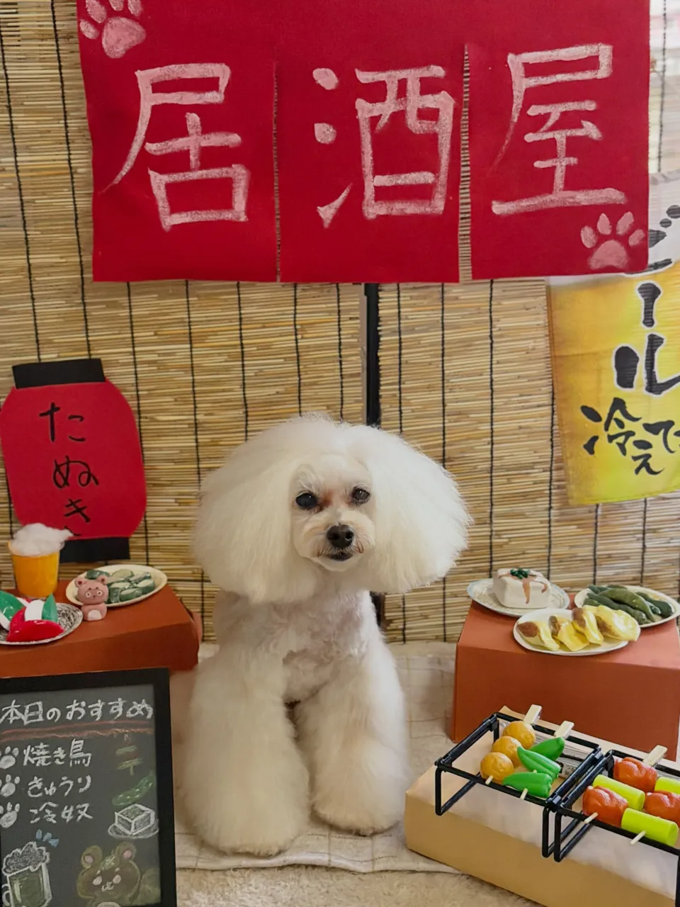 🍃9/25のトリミング🍃プードル🐶|名東区・千種区・守山区の...
