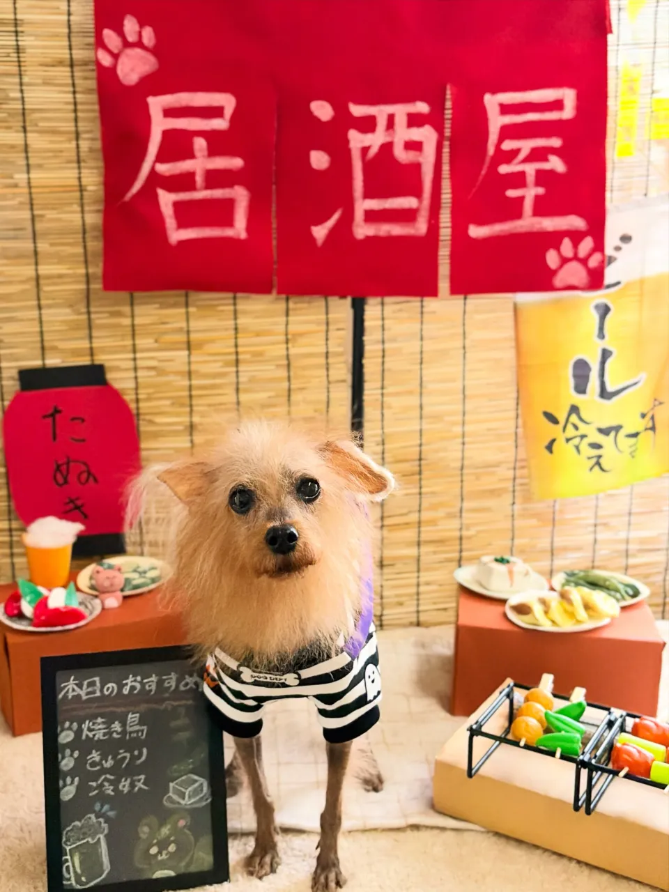 🍃9/25のトリミング🍃プードル🐶|名東区・千種区・守山区の...