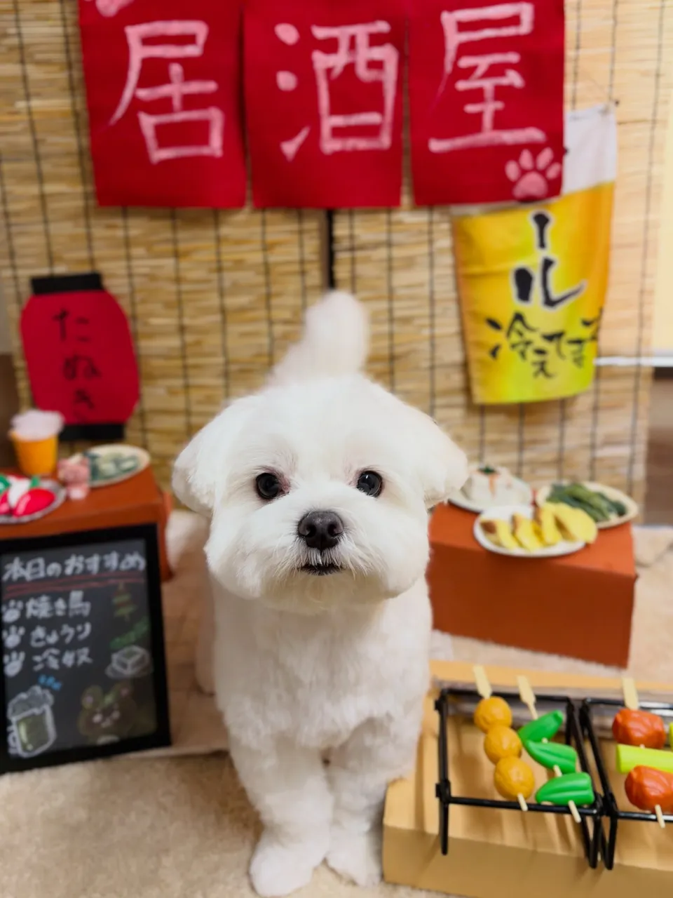 🍃9/25のトリミング🍃マルチーズ🐶｜名東区・千種区・守山区...