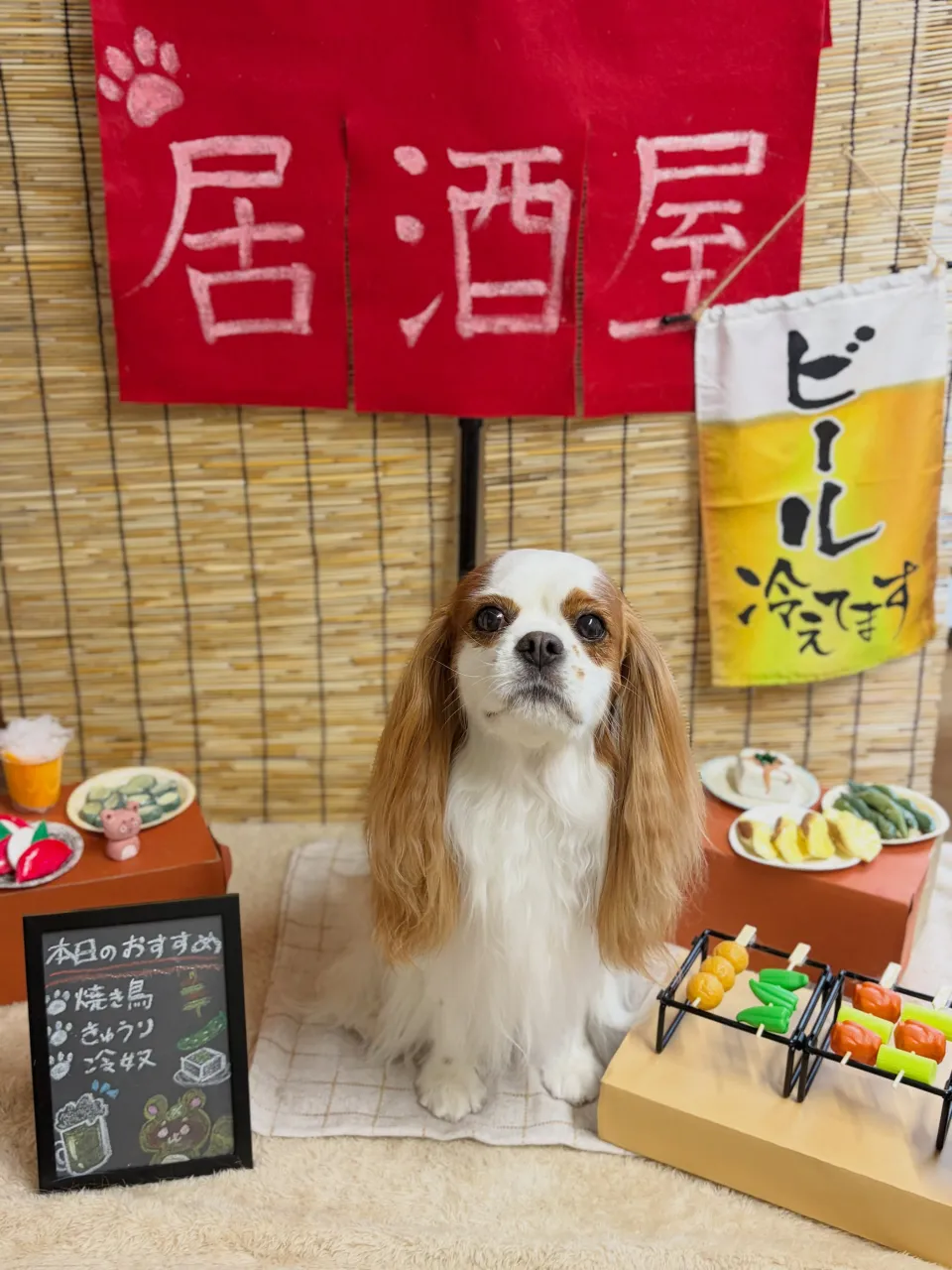 🍃9/26のトリミング🍃キャバリア🐶｜名東区・千種区・守山区...