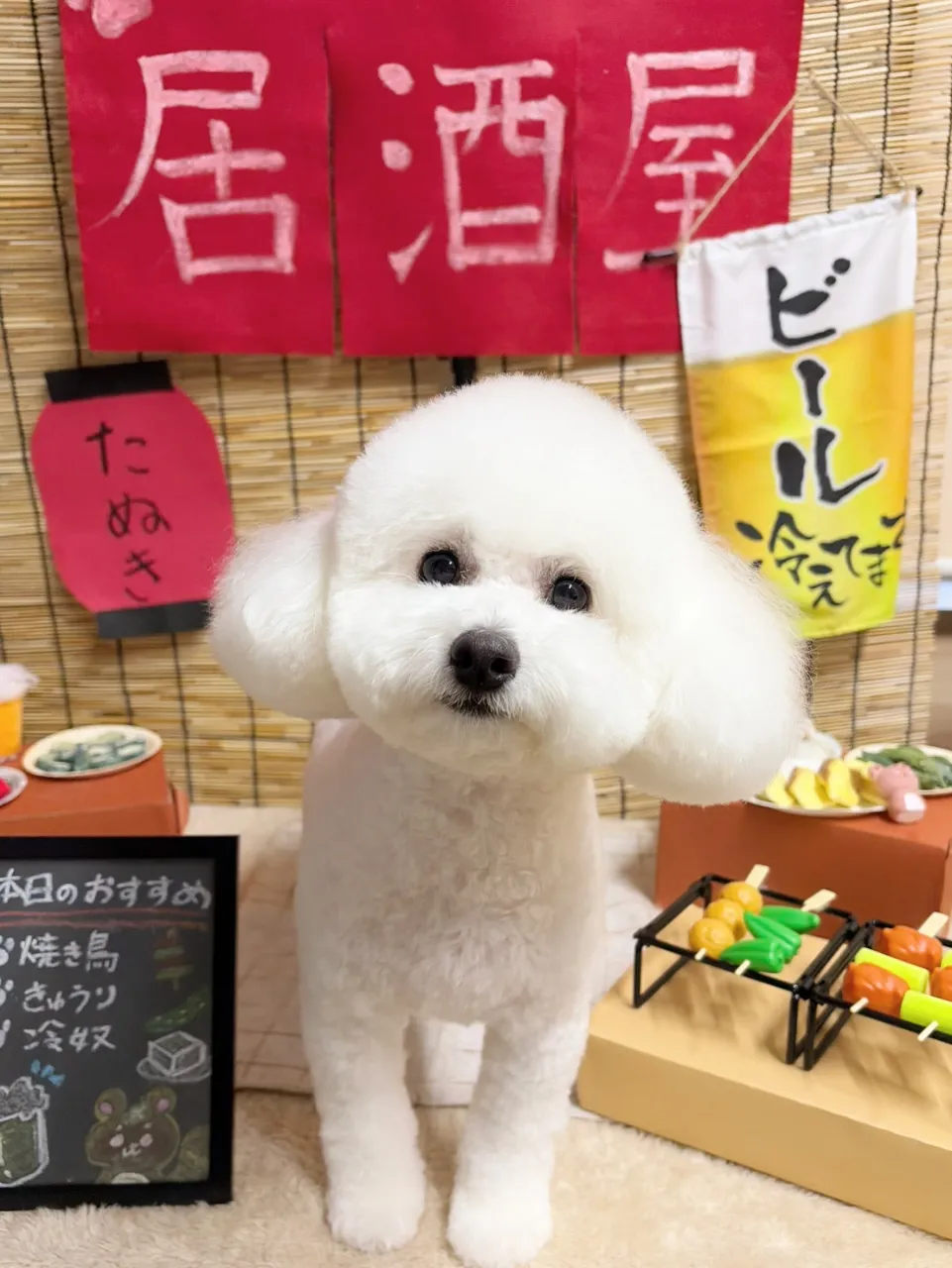 🍃9/26のトリミング🍃ミックス犬🐶｜名東区・千種区・守山区...