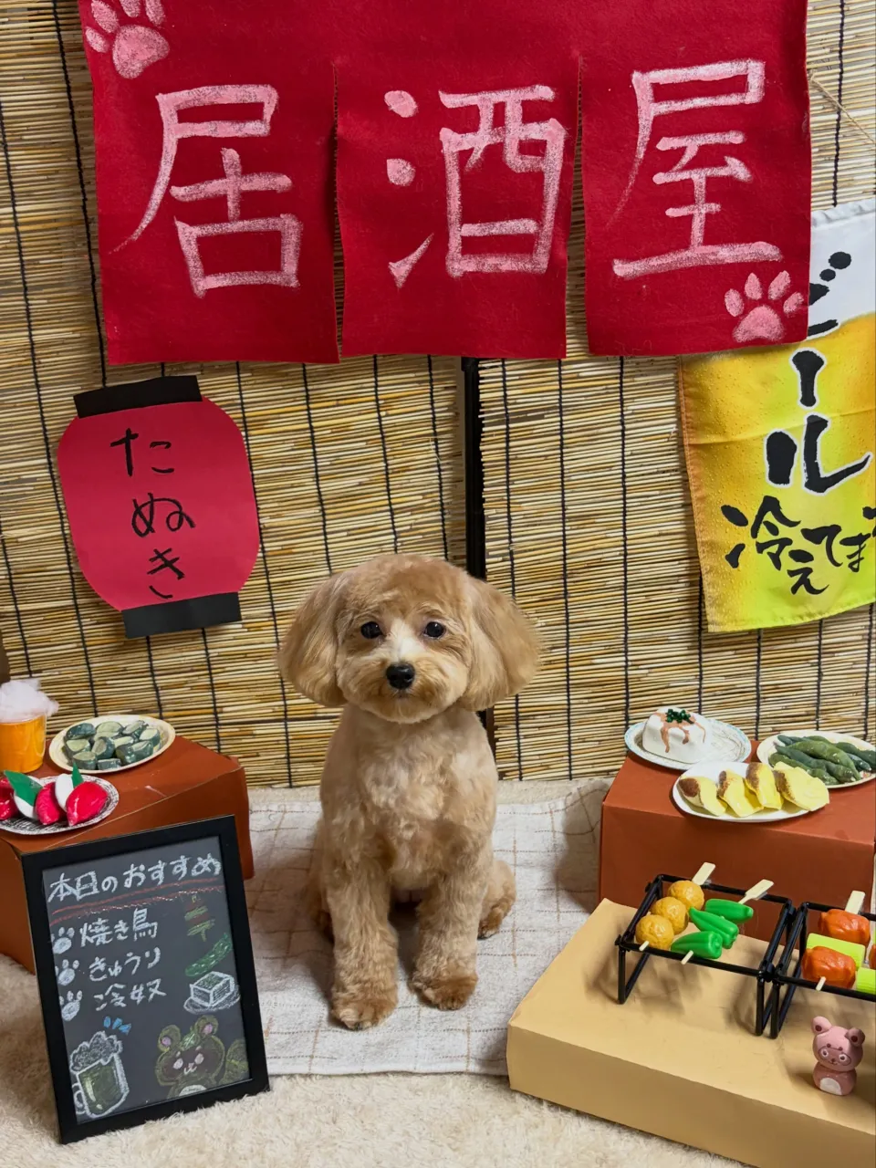 🍃9/27のトリミング🍃ミックス犬🐶｜名東区・千種区・守山区...