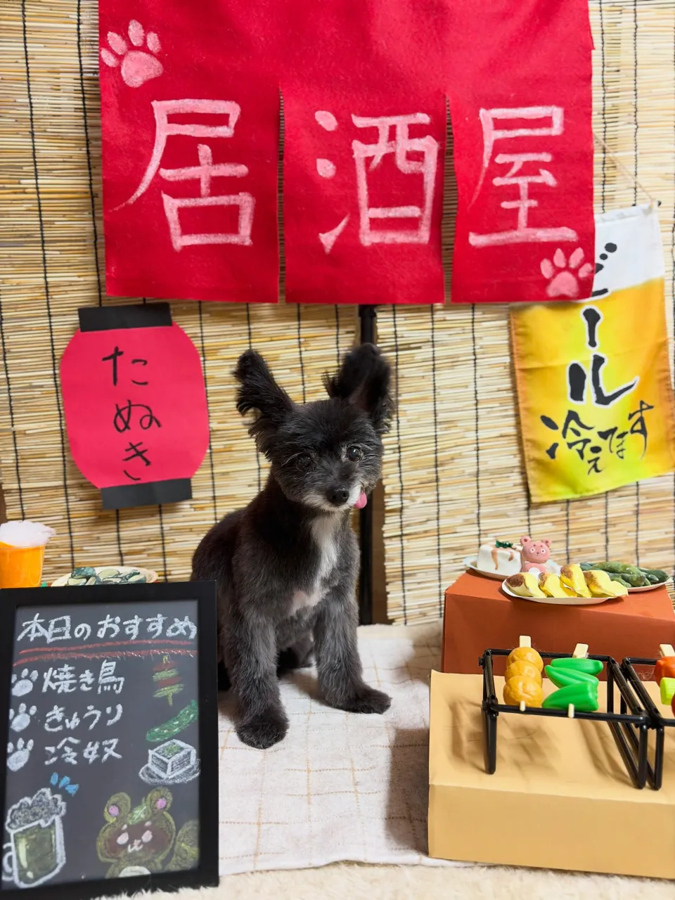 🍃9/29のトリミング🍃ミックス犬🐶｜名東区・千種区・守山区...