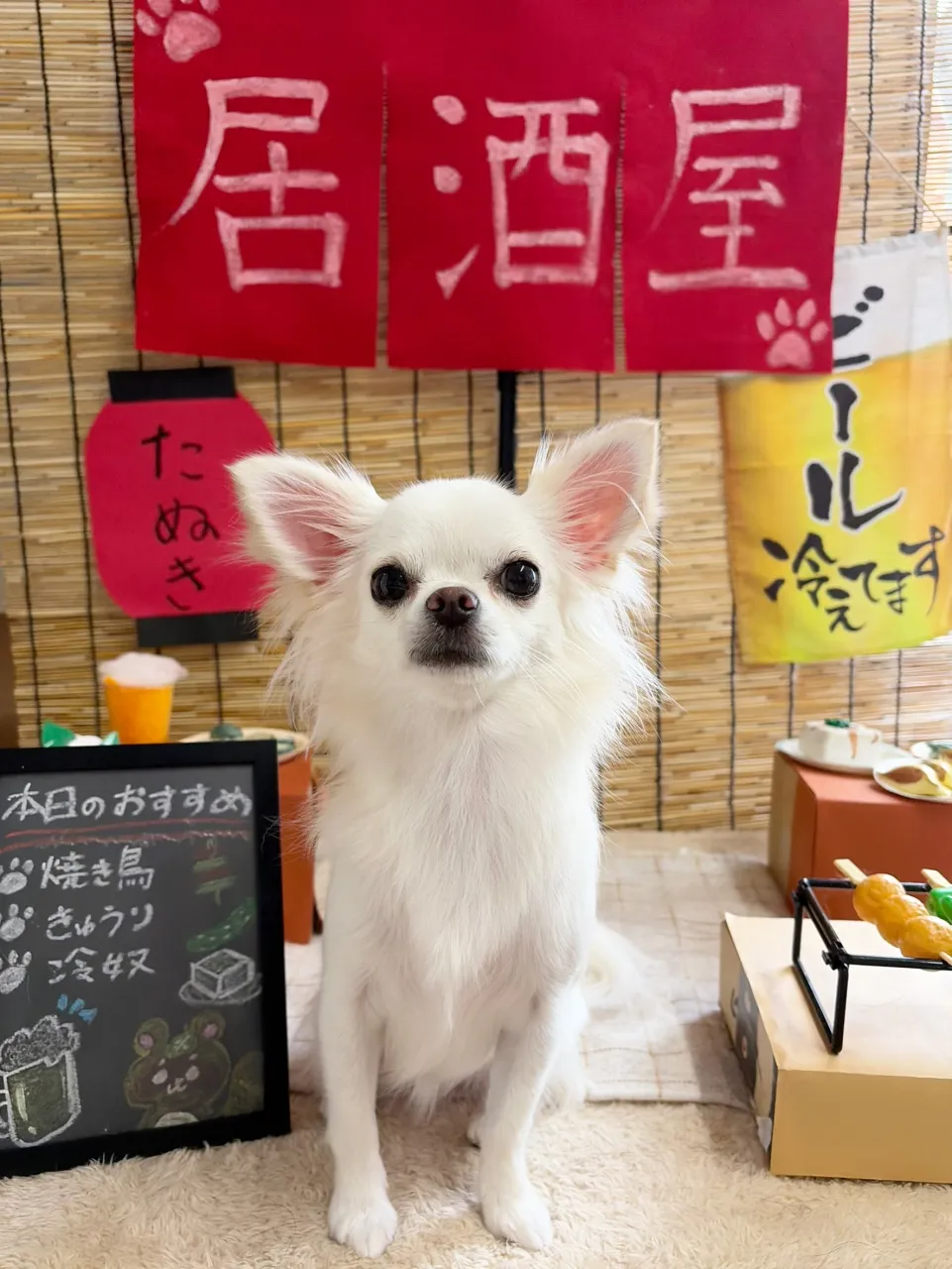 🍃9/29のトリミング🍃マルチーズ🐶チワワ🐶|名東区・千種区...