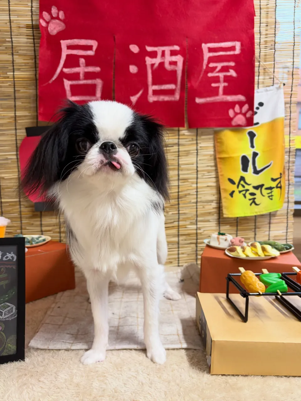 🍃9/27のトリミング🍃狆🐶|名東区・千種区・守山区の動物病...