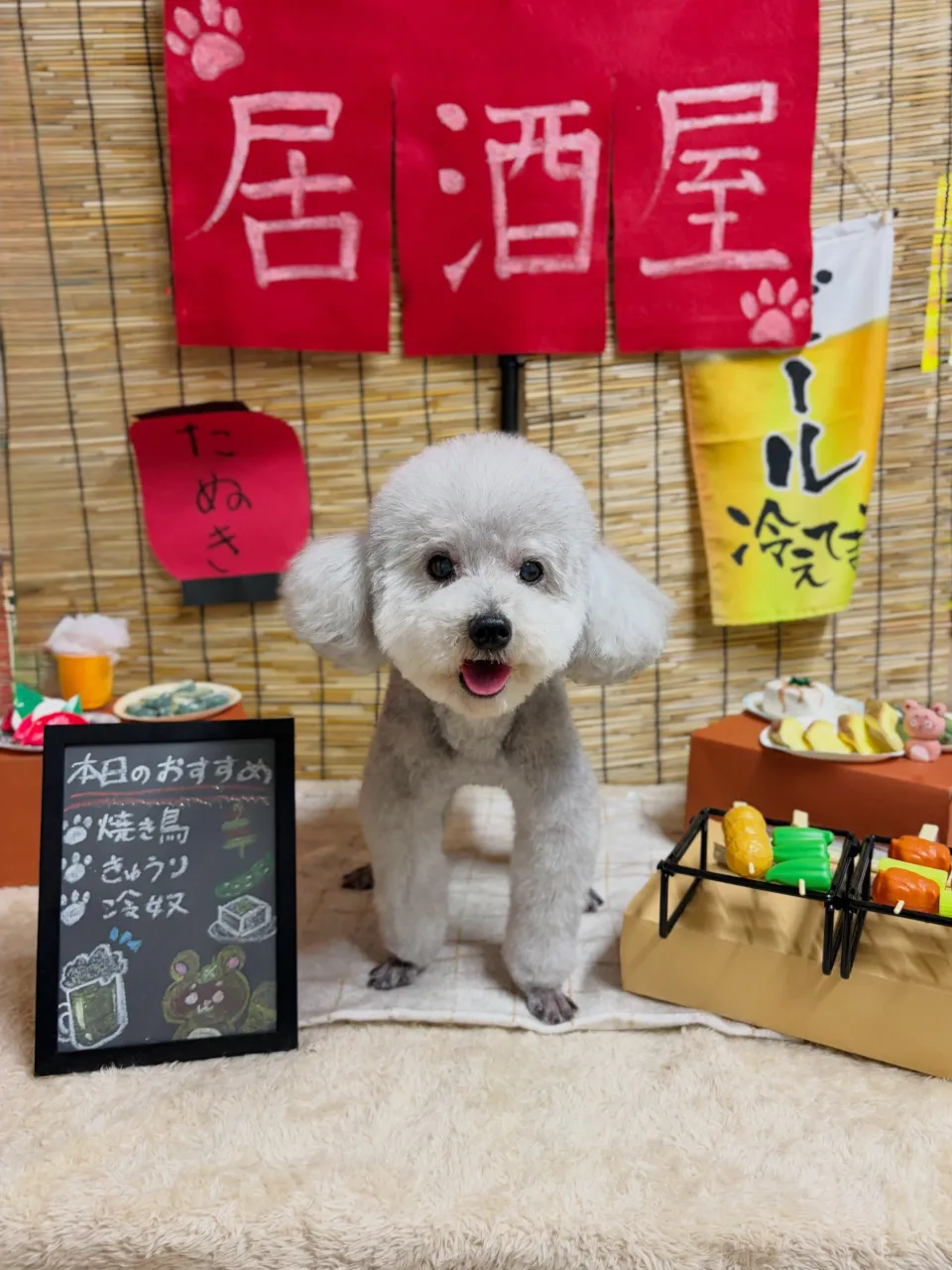 🍃9/28のトリミング🍃プードル🐶｜名東区・千種区・守山区の...