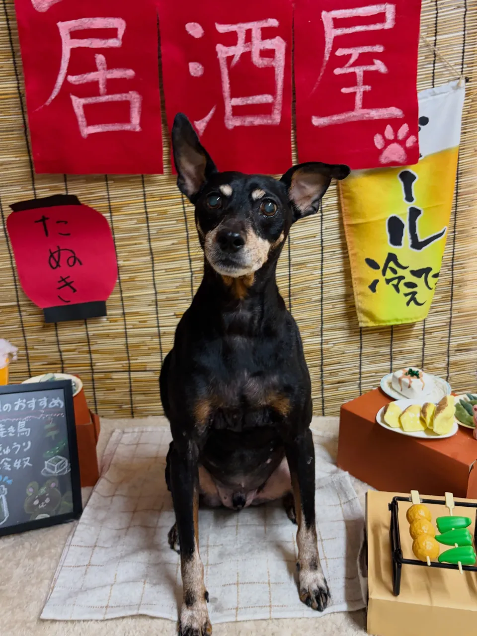 🍃9/28のトリミング🍃ミニチュアピンシャー 🐶｜名東区・千...