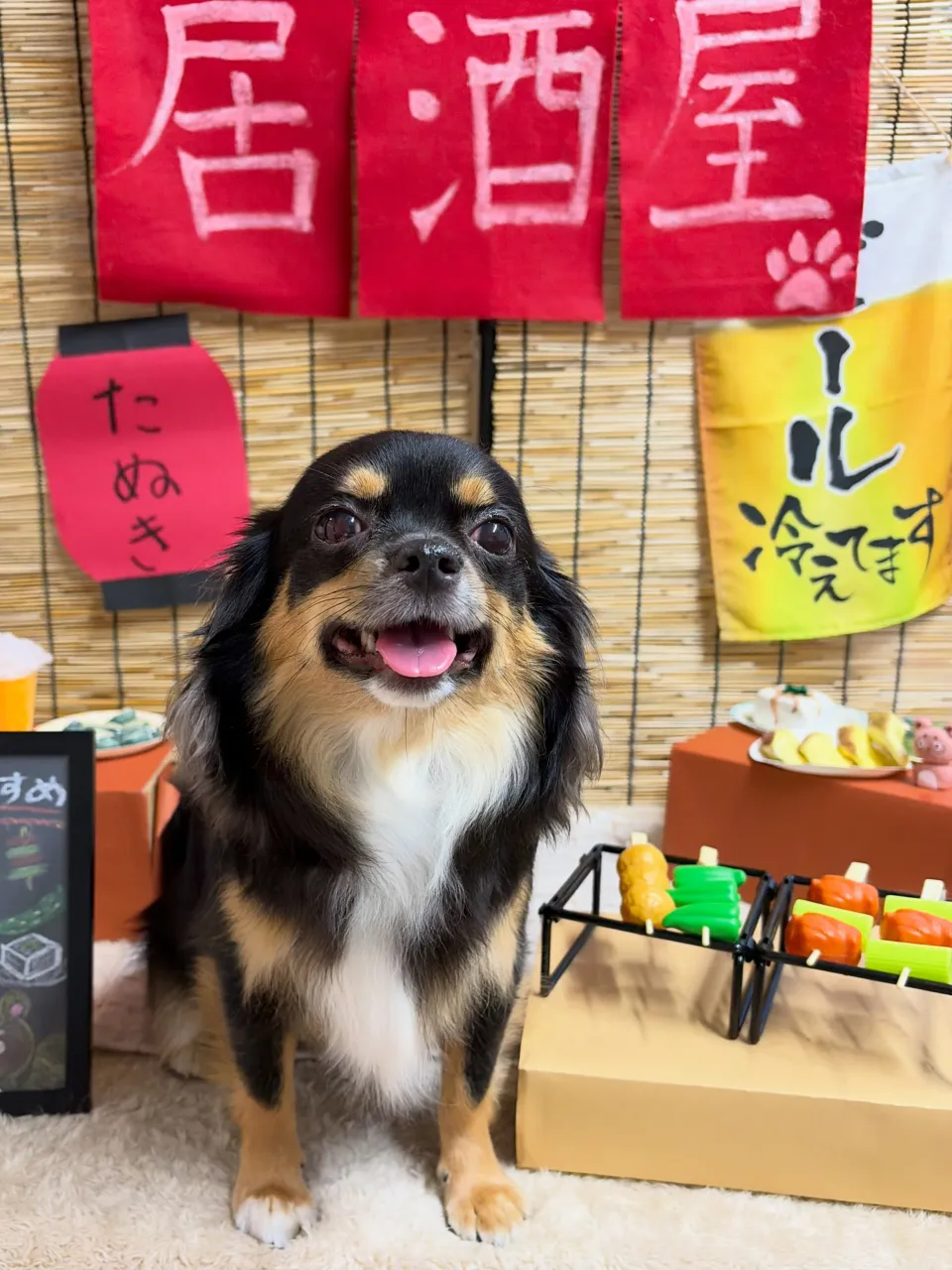 🍃9/29のトリミング🍃チワワ🐶|名東区・千種区・守山区の動...