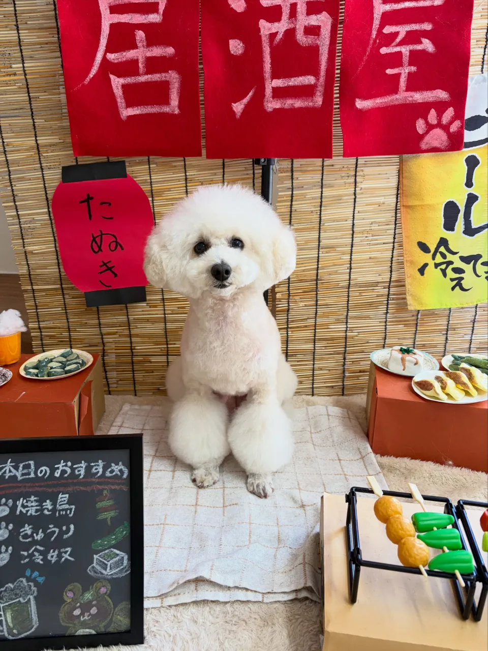 🍃9/30のトリミング🍃プードル🐶|名東区・千種区・守山区の...