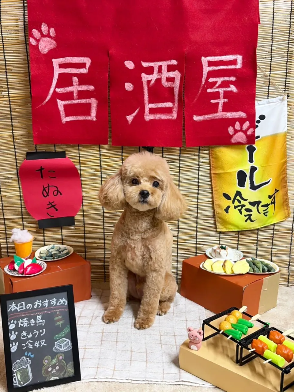 🍃9/30のトリミング🍃プードル🐶|名東区・千種区・守山区の...