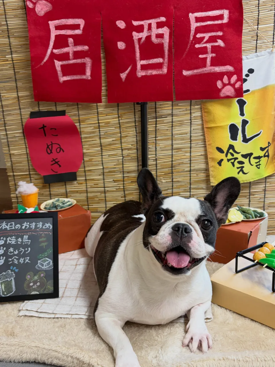 🍃9/30のトリミング🍃フレンチブルドッグ🐶｜名東区・千種区...